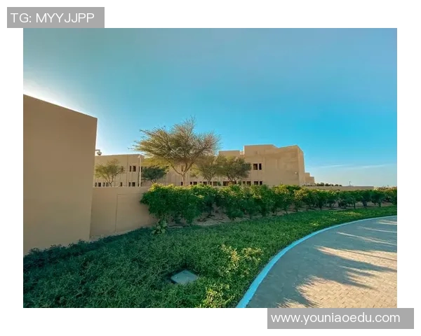 卡塔尔足球明星的豪宅揭秘及其居住地的独特魅力分析