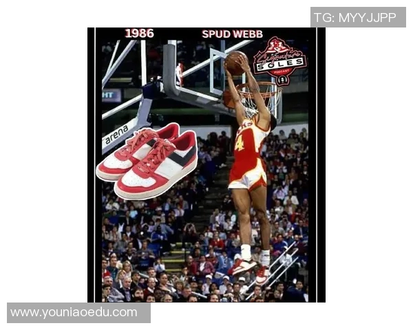 经典篮球明星鞋子盘点从乔丹到科比的传奇足迹